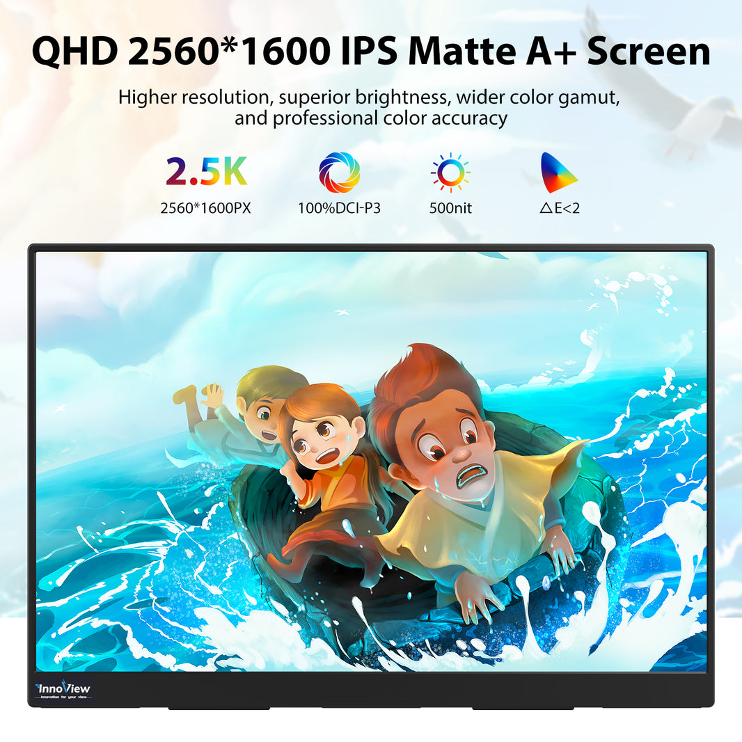 All products – InnoView Monitor